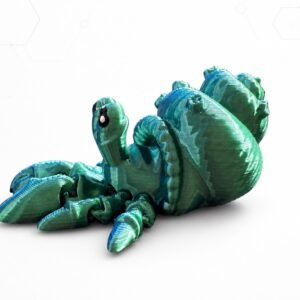 Hermit Crab Buddy